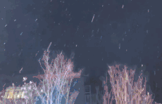 情报站｜雪中的校园安静又雅致！济南这处雪景，你爱了吗？