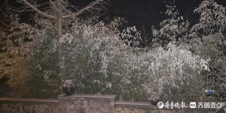 情报站|夜太美，雪下得好认真！济南九如山的雪夜，真醉人！