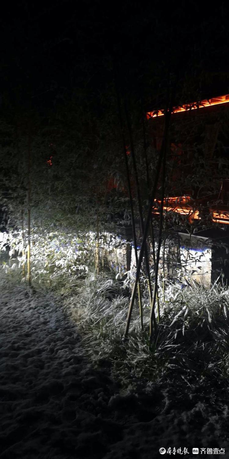 情报站|夜太美，雪下得好认真！济南九如山的雪夜，真醉人！
