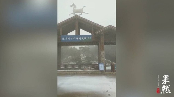 果然视频|济南南部山区又迎降雪！瞧瞧雪花飘落的美景