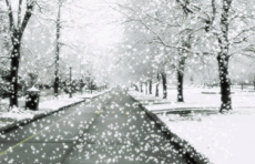 情报站｜淄博下雪啦！你听到雪落下的声音了吗？