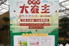 高质量发展看山东｜“农业+游戏”，来这里体验QQ农场现实版