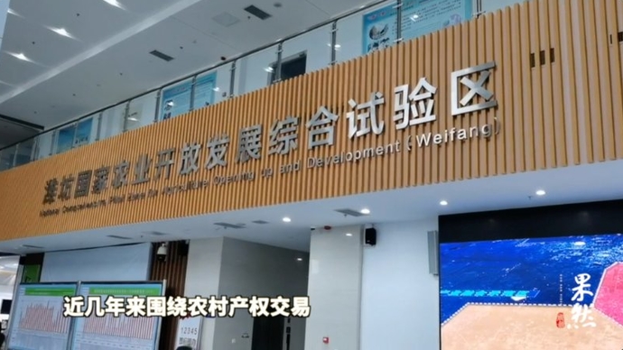 果然视频｜高质量发展看山东：走进潍坊国家农业开放发展试验区