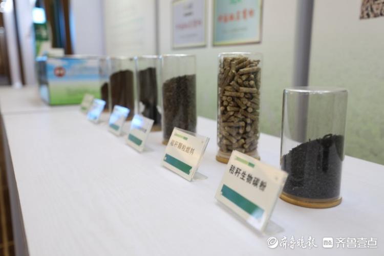 高质量发展看山东|走进全国蔬菜质量标准中心