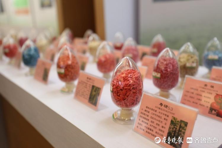 高质量发展看山东|走进全国蔬菜质量标准中心