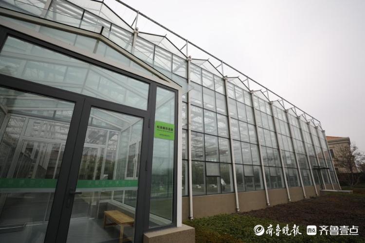 高质量发展看山东|走进全国蔬菜质量标准中心