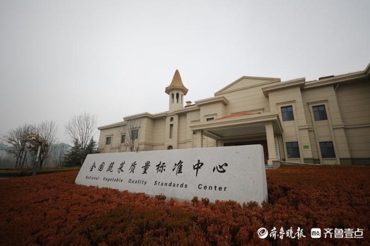 高质量发展看山东|走进全国蔬菜质量标准中心