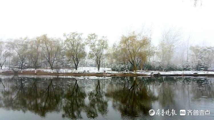 濟南東郊植物園雪后絕美，市區不見雪都在郊區下了！