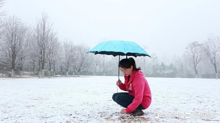 濟南東郊植物園雪后絕美，市區不見雪都在郊區下了！