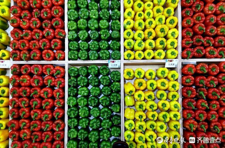 高质量发展看山东|在这个小镇，看“真•萝卜开会”