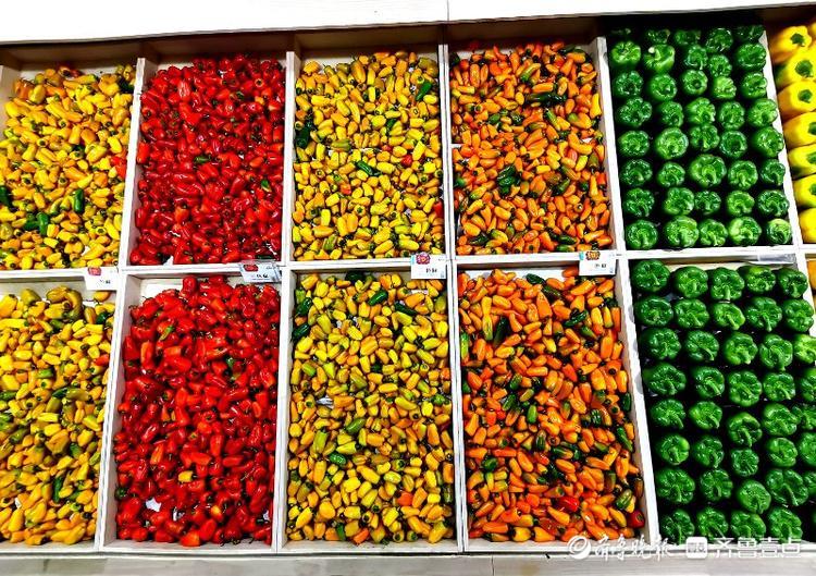 高质量发展看山东|在这个小镇，看“真•萝卜开会”