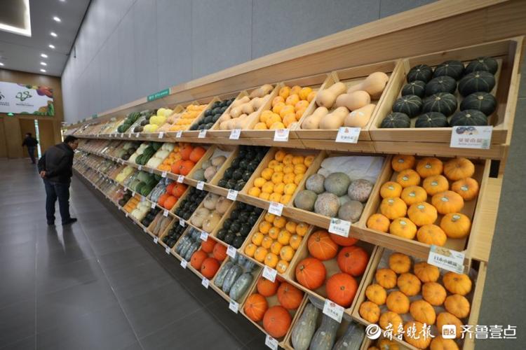 高质量发展看山东|在这个小镇，看“真•萝卜开会”