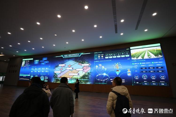 高质量发展看山东|在这个小镇，看“真•萝卜开会”