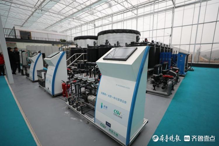 高质量发展看山东|在这个小镇，看“真•萝卜开会”