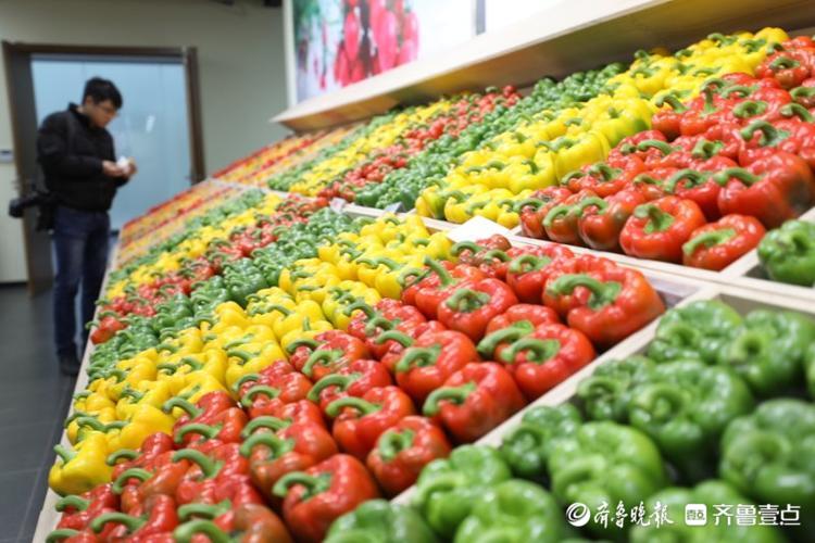 高质量发展看山东|在这个小镇，看“真•萝卜开会”