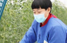 壹点海报·高质量发展看山东｜东篱田园：打造“六区两带一中心”