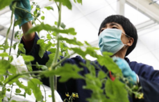 壹点海报·高质量发展看山东｜全国蔬菜质量标准中心：为蔬菜定标