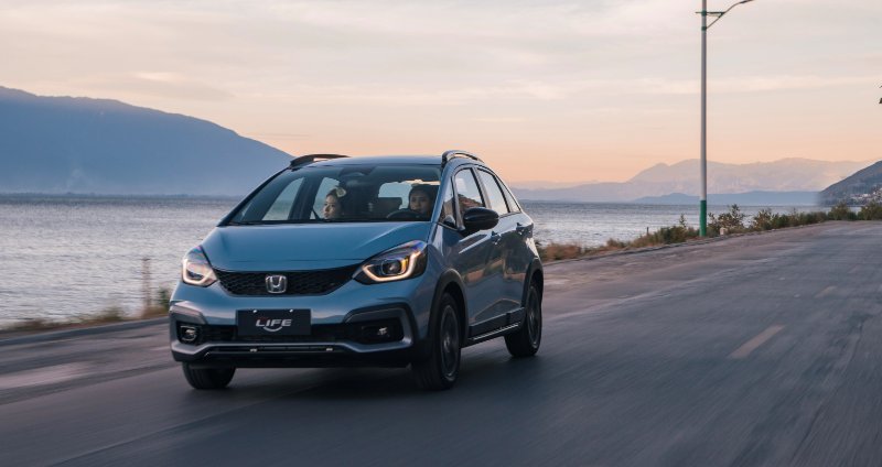 精致年轻人的元气拍档萌主来福酱