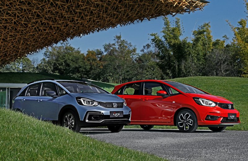 精致年轻人的元气拍档萌主来福酱