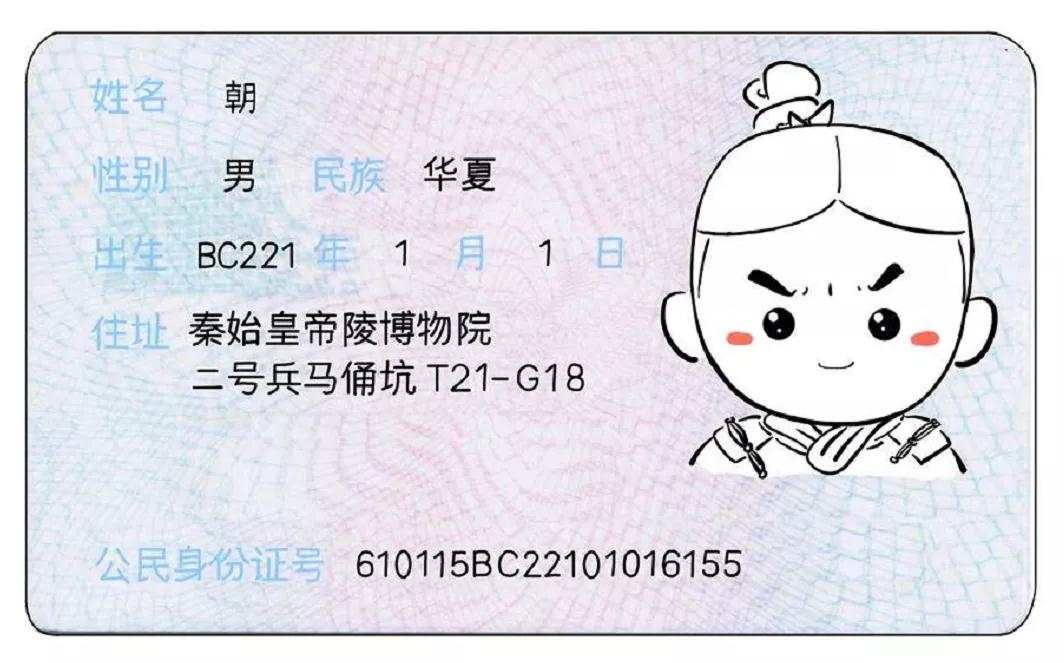 通俗的说,就是给兵马俑们拍摄身份证.