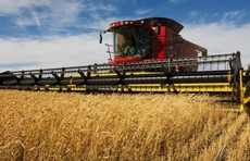 山东年销售收入500万元以上的农业龙头企业过万家