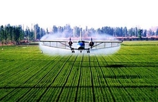 预计到今年底，山东农业科技进步贡献率将超过65%