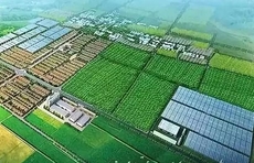 截至目前，山东已累计建设各类省级农业产业园区200多个