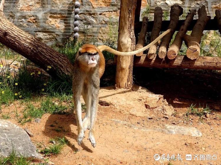 情報站
