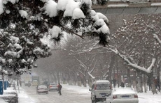 壹点海报丨"速冻"模式来袭，你的御寒神器备好了吗？