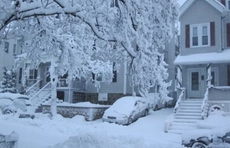 情报站|济南市区下雪啦！2020年的雪来的好突然，你看到了吗