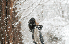 情报站|济南的雪如约而至！雪姑娘很羞涩，直到晚上才舍得下起来