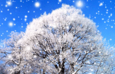 情报站|大雪纷飞！济南市区降雪如约而至，有雪的冬天才最美！