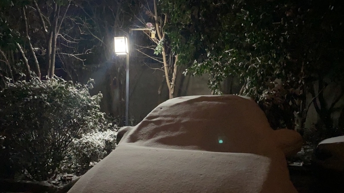 壹直播｜雪下一夜！壹点记者带你看清晨济南经十路的道路情况