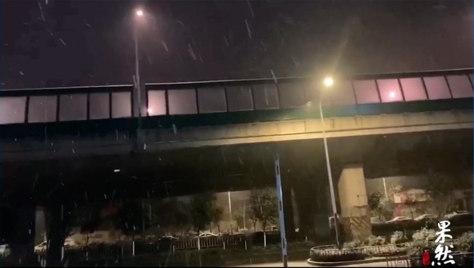 果然视频|29日零点左右，济南的雪越下越密