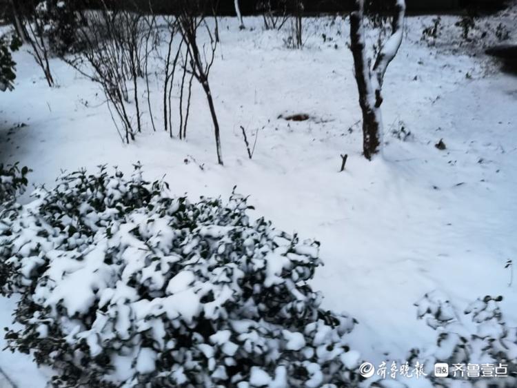 济南一夜变白美丽冻人！居民物业忙扫雪
