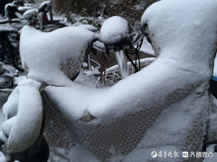 济南一夜变白美丽冻人！居民物业忙扫雪