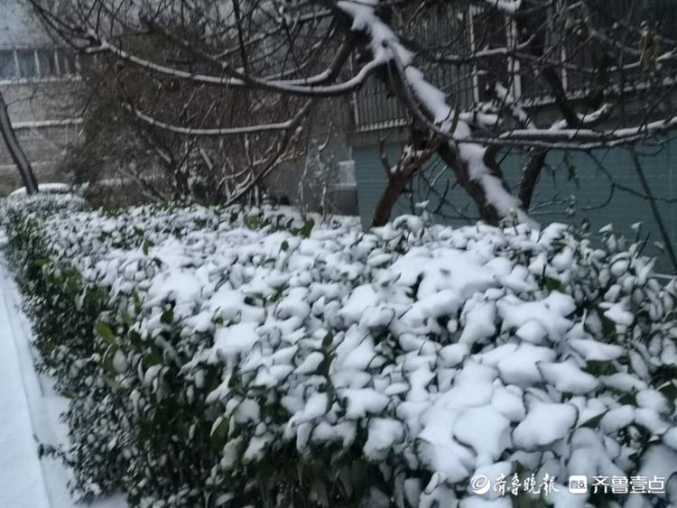 济南一夜变白美丽冻人！居民物业忙扫雪