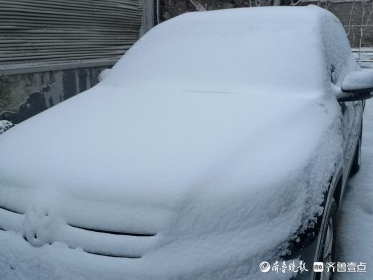 济南一夜变白美丽冻人！居民物业忙扫雪