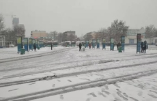 壹点快讯丨受恶劣天气影响，淄博多个区县68条公交线路停运