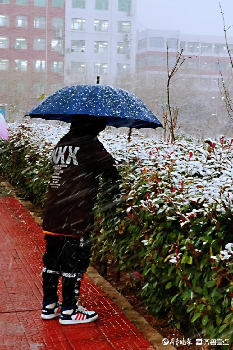 图集|大雪如约而至，枣庄这所学校有着不一样的色彩