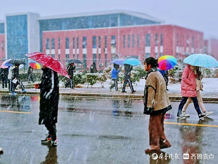 图集|大雪如约而至，枣庄这所学校有着不一样的色彩