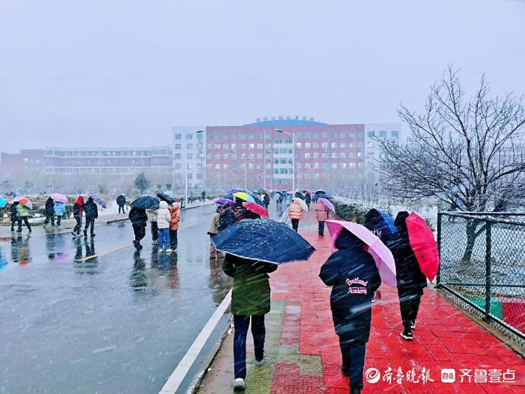 图集|大雪如约而至，枣庄这所学校有着不一样的色彩