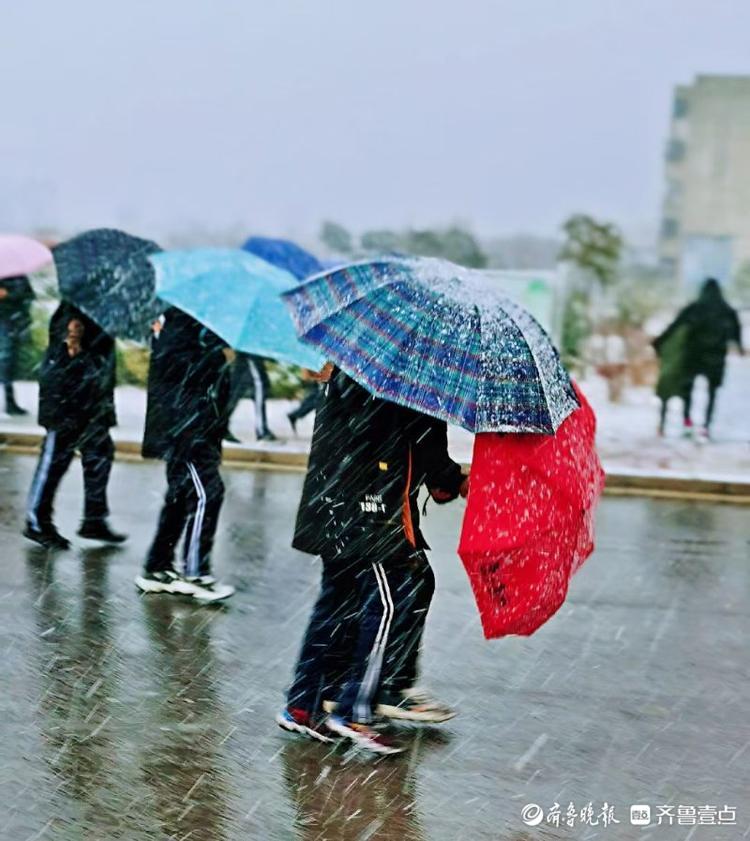 图集|大雪如约而至，枣庄这所学校有着不一样的色彩