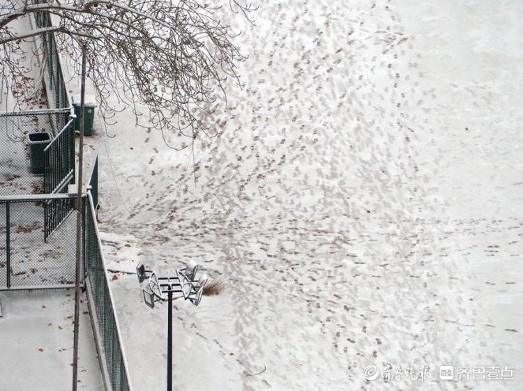雪后最美是校园，俯拍山东师大雪景素雅美丽