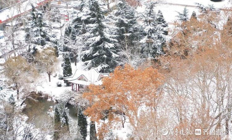 雪后最美是校园，俯拍山东师大雪景素雅美丽