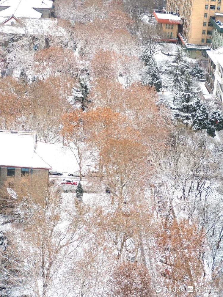 雪后最美是校园，俯拍山东师大雪景素雅美丽
