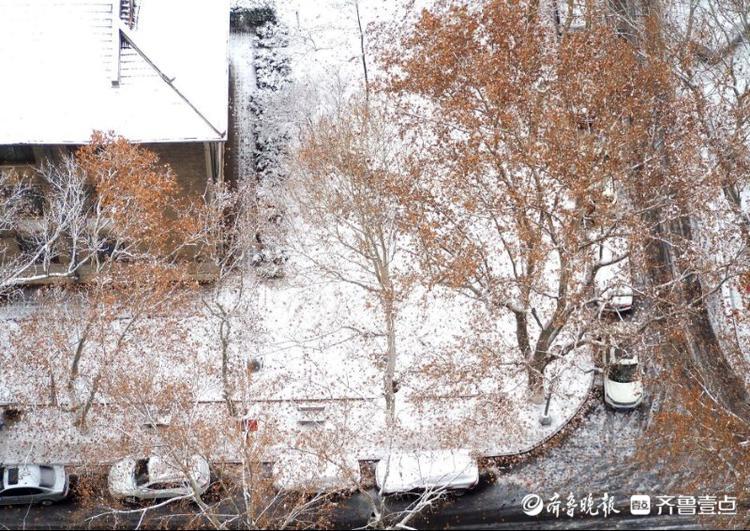 雪后最美是校园，俯拍山东师大雪景素雅美丽