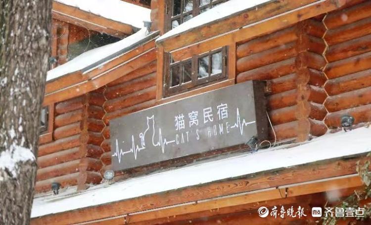 济南雪后南山变仙境，九如山景色梦幻