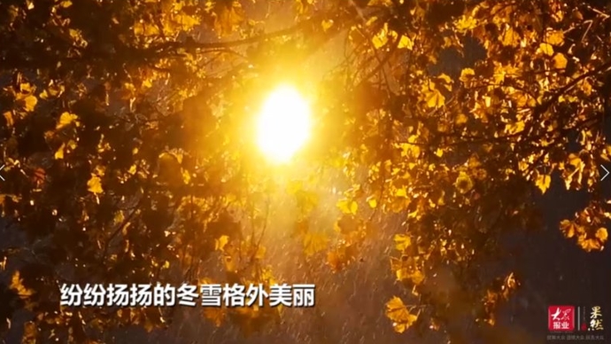 果然视频|济南迎来大雪，告别2020，迎接2021