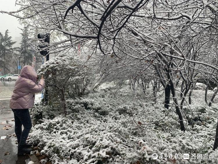 枣庄大雪“送来”冬日美景，市中这处小花园宛如雾凇仙境